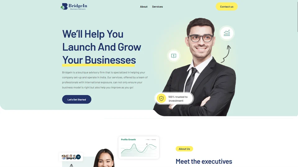 BridgeIn Business Advisors